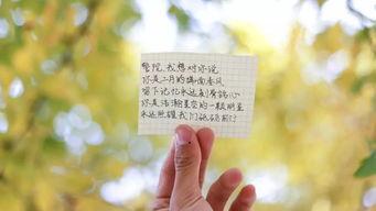 落笔皆是想见你,字字皆藏思念之情