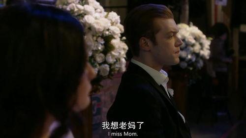 无耻之徒 第十季,命运转折，家族纷争再起