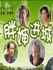 胖婶进城,一场别开生面的都市生活体验