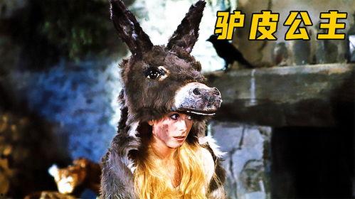 驴皮公主,传奇爱情与奇幻冒险的交织