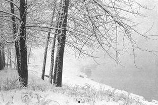 冬日 2003,回忆那场难忘的雪景