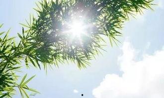 阳光的一天,美好一天全景扫描